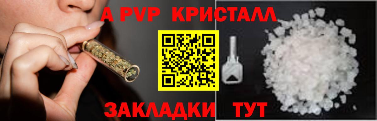 Альфа ПВП СК Россошь
