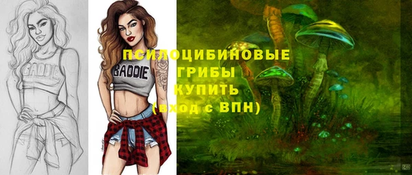 мяу мяу мука Абдулино