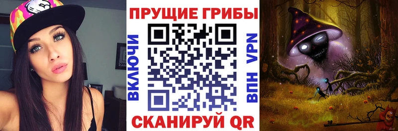 где купить   мориарти телеграм  Псилоцибиновые грибы мухоморы  Россошь 