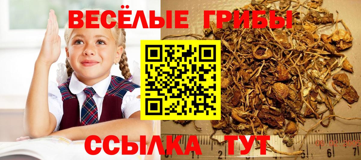 сколько стоит  Галлюциногенные грибы мухоморы  Вход с VPN  Россошь  Галлюциногенные грибы ЛСД 